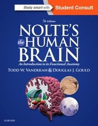Bild vergrößern Bild: Nolte's The Human Brain - Saunders