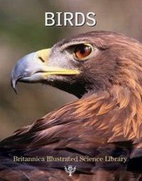 Enlarge image Cover: Birds - Encyclopaedia Britannica