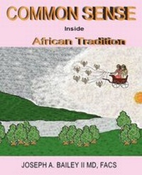 Enlarge image Cover: Common Sense Inside African Tradition - Wingspan Press
