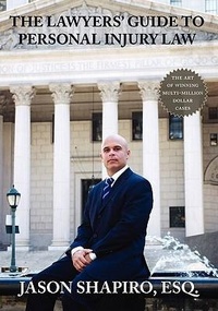 Bild: The Lawyers' Guide to Personal Injury Law - Wingspan Press