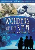 Cover: Wonders of the Sea - Libraries Unlimited Inc