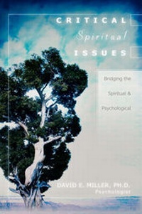 Enlarge image Cover: Critical Spiritual Issues - Xulon Press