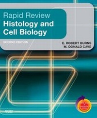 Abbildung von: Rapid Review Histology and Cell Biology - Mosby