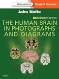 Cover: The Human Brain in Photographs and Diagrams - Saunders