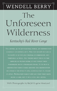 Enlarge image Cover: The Unforeseen Wilderness - Counterpoint