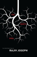 Cover: The North Pool - Soft Skull Press