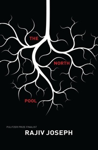 Enlarge image Cover: The North Pool - Soft Skull Press