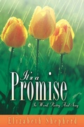 Cover: It's A Promise - Xulon Press
