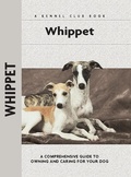 Cover: Whippet - CompanionHouse Books