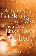 Cover: Why are you Looking for the Vase When God Has Given Clay? - Xulon Press