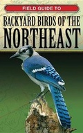 Cover: Field Guide to Backyard Birds of the Northeast - Cool Springs Press