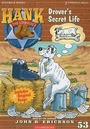 Cover: Drover's Secret Life - Maverick Books (TX)