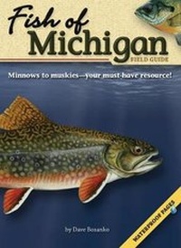 Enlarge image Cover: Fish of Michigan Field Guide - Advance Publishing In.,US
