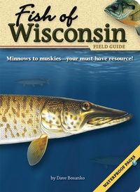 Enlarge image Cover: Fish of Wisconsin Field Guide - Advance Publishing In.,US