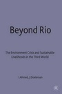 Cover: Beyond Rio - Palgrave Macmillan