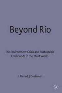 Enlarge image Cover: Beyond Rio - Palgrave Macmillan