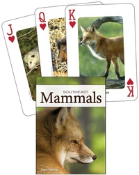 Abbildung von: Mammals of the Southeast Playing Cards - Adventure Publications, Incorporated