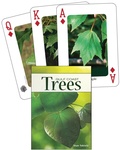 Cover: Trees of the Gulf Coast Playing Cards - Adventure Publications, Incorporated