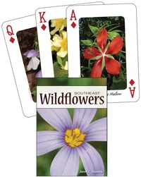 Abbildung von: Wildflowers of the Southeast Playing Cards - Adventure Publications, Incorporated