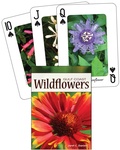 Cover: Wildflowers of the Gulf Coast Playing Cards - Adventure Publications, Incorporated