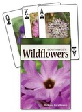 Cover: Wildflowers of the Southwest Playing Cards - Adventure Publications, Incorporated