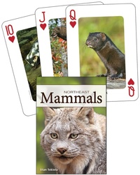 Abbildung von: Mammals of the Northeast Playing Cards - Adventure Publications, Incorporated