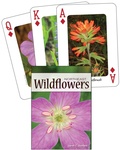 Cover: Wildflowers of the Northeast Playing Cards - Adventure Publications, Incorporated