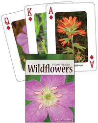 Abbildung von: Wildflowers of the Northeast Playing Cards - Adventure Publications, Incorporated