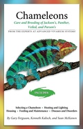 Cover: Essential Care of Chameleons - CompanionHouse Books