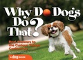 Cover: Why Do Dogs Do That? - CompanionHouse Books