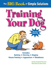 Enlarge image Cover: The Big Book of Simple Solutions - CompanionHouse Books