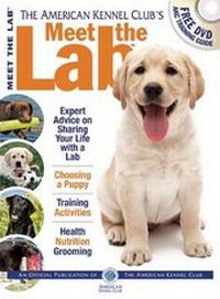 Enlarge image Cover: Meet the Lab - Companion House