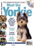 Cover: Meet the Yorkie - Companion House