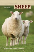 Cover: Sheep - Companion House