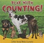 Cover: Play with Counting! - Rourke Publishing