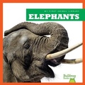 Cover: Elephants - Bullfrog Books