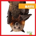 Cover: Bats - Bullfrog Books
