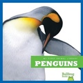 Cover: Penguins - Bullfrog Books