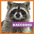 Cover: Raccoons - Bullfrog Books