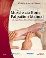 Cover: The Muscle and Bone Palpation Manual with Trigger Points, Referral Patterns and Stretching - Mosby