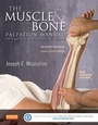 Cover: The Muscle and Bone Palpation Manual with Trigger Points, Referral Patterns and Stretching - Mosby