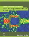 Cover: Progress in Computational Physics (PiCP) - Bentham Science Publishers