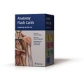 Cover: Human Anatomy Flashcards - English - Thieme Publishers