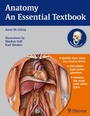 Cover: Anatomy - An Essential Textbook - Thieme Publishers