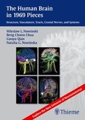 Cover: The Human Brain in 1969 Pieces - Thieme Publishers