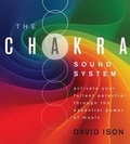 Cover: The Chakra Sound System - Sounds True Inc