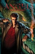 Cover: Angel After The Fall, Vol. 1 - Idea & Design Works