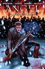 Cover: Angel After The Fall, Vol. 3 - Idea & Design Works