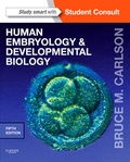 Bild: Human Embryology and Developmental Biology - Saunders