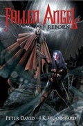 Cover: Fallen Angel Reborn - Idea & Design Works